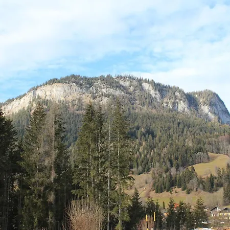 Tauplitz Apartment Apartament *