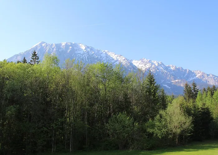 Tauplitz Apartment 타우플리츠